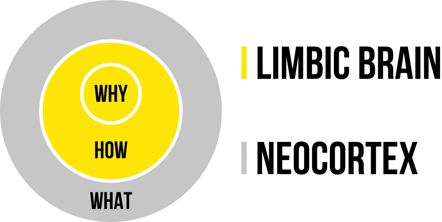 C21 Creative Communications » Not just bright, Brilliant » What’s your ...